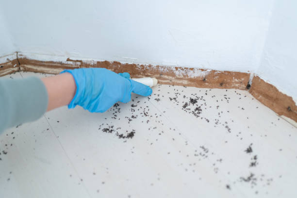 Best Residential Pest Control  in Moorestown Lenola, NJ